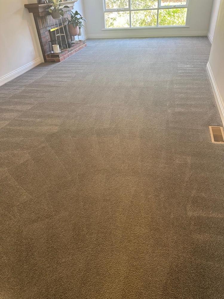 Living-room carpet after cleaning