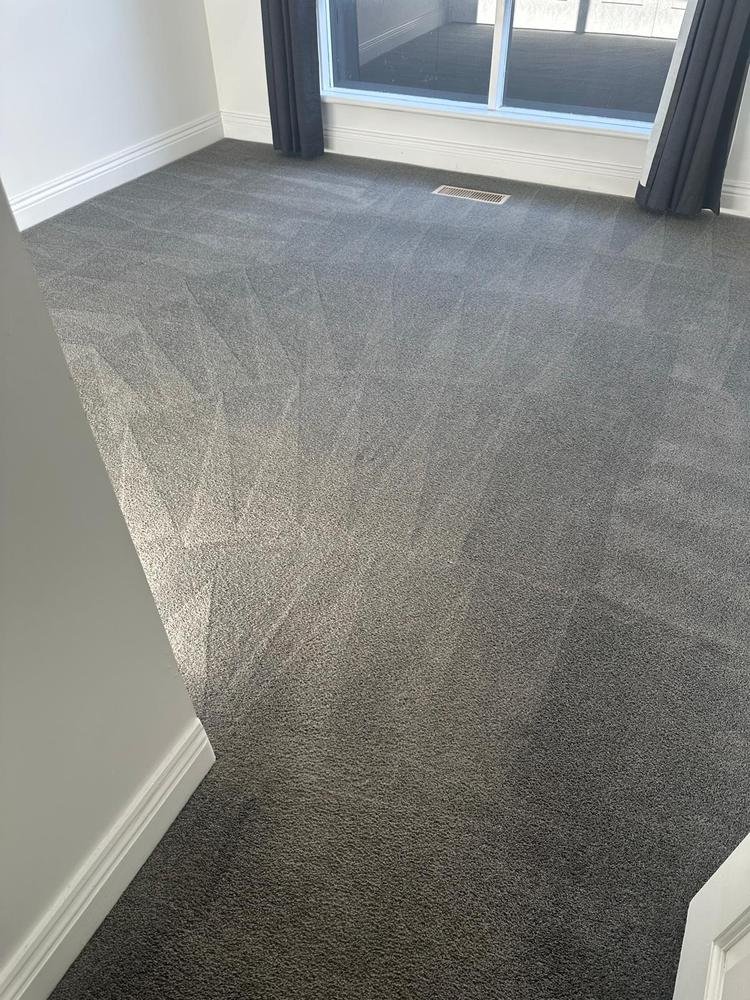 Grey carpet after steam cleaning
